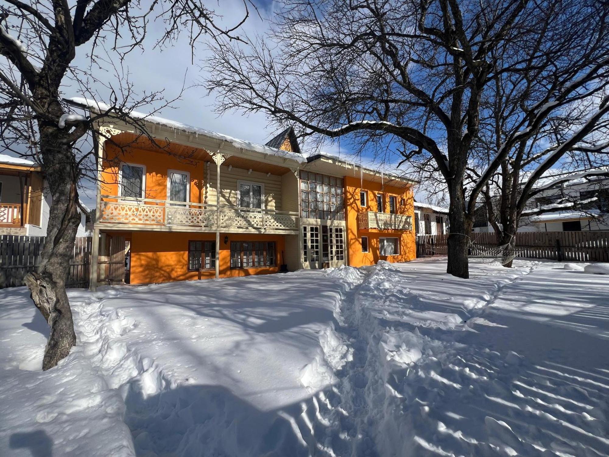 Art Villa Бакуриани Экстерьер фото